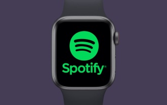 Spotify di Apple Watch: Cara Menggunakannya Pada tahun 2025