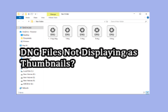 Les fichiers DNG ne s'affichent pas sous forme de miniatures sous Windows? 4 solutions