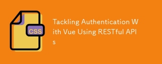 Anpassung der Authentifizierung mit VUE mit erholsamen APIs