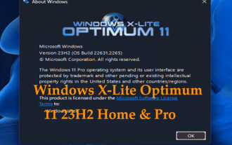 How to Install Windows X-Lite Optimum 11 23H2 Home/Pro via ISO