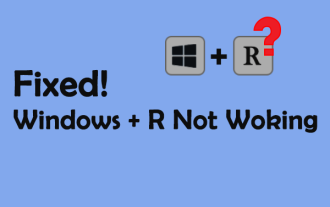 Advanced Tips for Windows   P Not Working on Windows
