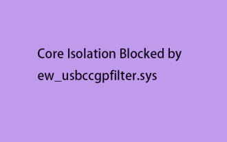 Is Core Isolation Blocked by ew_usbccgpfilter.sys? Here Are Fixes!