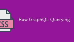 RAW GRAPHQL查詢