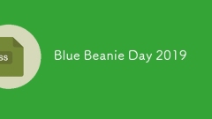 Blue Beanie Day 2019