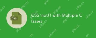 CSS: nicht () mit mehreren Klassen