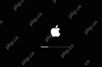 MAC Prohibitory Symbol Fix: MacBook zeigt Kreis mit Schrägstrich beim Start