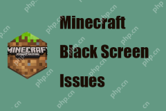 如何修復Windows 10/11上的Minecraft黑屏問題? - Minitool
