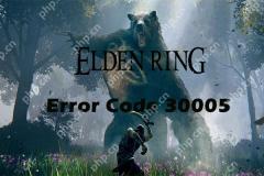 How to Fix Elden Ring Error Code 30005 Windows 10/11? - MiniTool