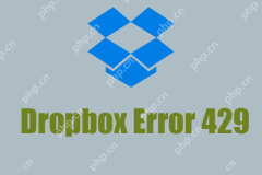 修复:Dropbox错误429 - 费率限制(请求太多) - Minitool