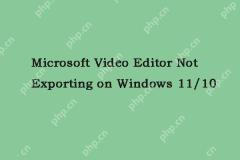 Editor Video Microsoft Tidak Mengeksport pada Windows 11/10 - Minitool