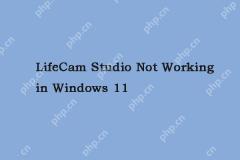 Is LifeCam Studio Not Working in Windows 11? Here Are Fixes! - MiniTool