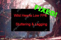 ワイルドハート低FPS＆Stuttering＆Lag on Windows 10/11？ [修正]  - ミニトール