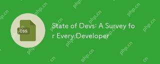 DEVS 상태 : 모든 개발자를위한 설문 조사