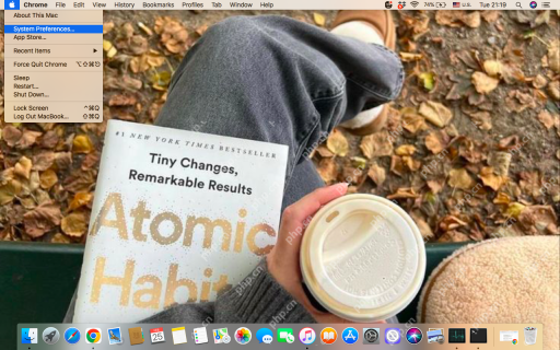 System Preferences on Mac: How to Open & Use It on MacBook Air/Pro?