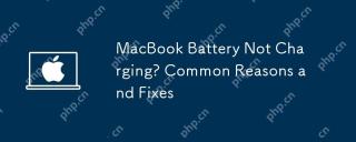 MacBook電池沒有充電?常見的理由和修復