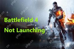 Bagaimana untuk memperbaiki Battlefield 4 tidak melancarkan pada Windows 10 PC? - Minitool