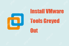 VMwareツールをインストールしました。ここで簡単で便利な修正があります! - ミニトール