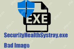 如何修復securityHealthSystray.exe錯誤圖像錯誤? - Minitool