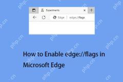 如何啟用Edge:// Microsoft Edge中的標誌以訪問其菜單? - Minitool