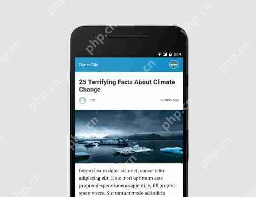 如何在您的 WordPress 网站上正确设置 Google AMP