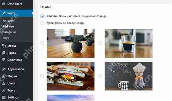 如何將隨機標題圖像添加到您的 WordPress 博客