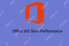 Office 365 Slow: Gründe und Lösungen für das Problem!
