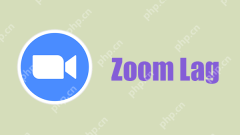 How to Fix Zoom Lag on Windows 10? Multiple Methods Here! - MiniTool