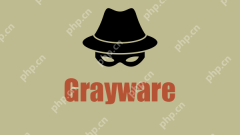 What Is Grayware? Is It Dangerous? How to Prevent It? - MiniTool