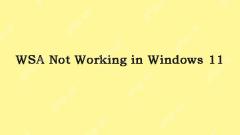 How to Fix WSA Not Working in Windows 11? Here Are Fixes! - MiniTool