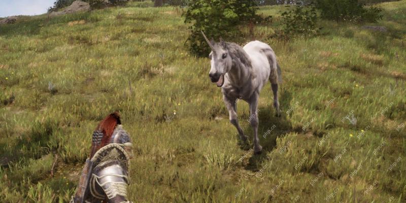 Unicorn Location in Oblivion Remastered