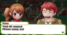 Harvest Moon: Skytree Village DLC and Preorder