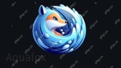 Got a PPC Mac in the Closet? Check Out the Aquafox Browser for Tiger & Leopard