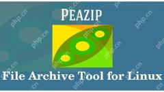 Peazip: A Portable File Manager and Archive Tool for Linux