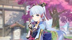 Genshin Impact Ayaka materials, kit, and Constellations