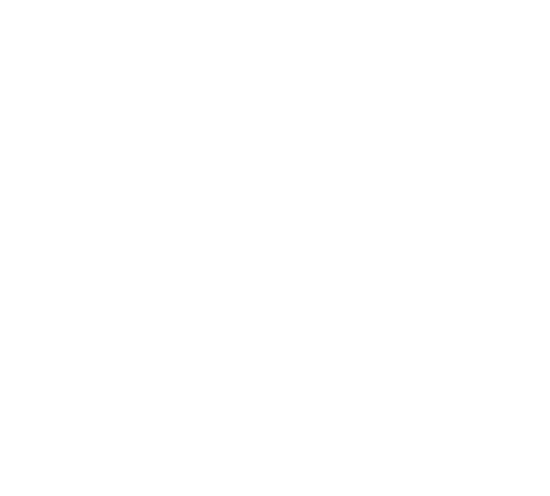 WordPress 在幕后的实际工作原理（信息图）