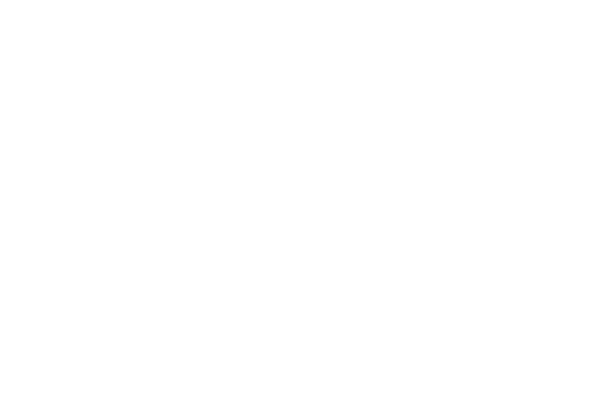 如何在 WordPress 中创建客户仪表板