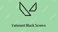 Bagaimana untuk membetulkan isu 'Valorant Hitam' pada Windows 11/10? - Minitool