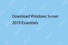 Download Windows Server 2019 Essentials & Install It on PC