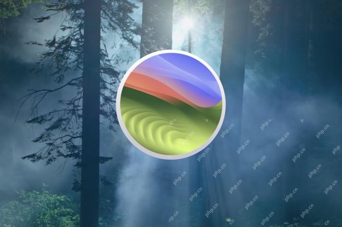 Comment mettre à jour MacOS Sonoma / Ventura sans installer Sequoia