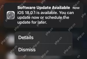 iOS 18.0.1 및 iPados 18.0.1 버그 수정으로 출시 된 업데이트