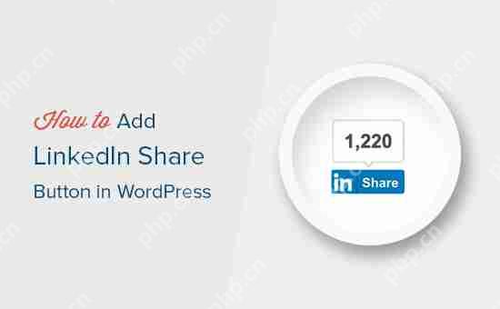 如何在 WordPress 中添加官方 LinkedIn 分享按鈕