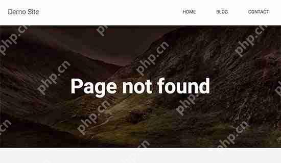 如何禁用 WordPress 中的搜索功能（簡單易行）