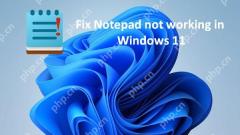当记事本无法在Windows 11 -Minitool上工作时该怎么办