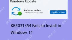 How to Fix KB5031354 Fails to Install in Windows 11 22H2?
