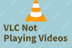 VLC Black Screen? A Guide to Fixing 'VLC Not Playing Videos” - MiniTool