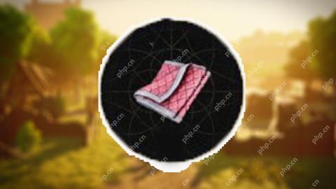 如何在runescape dragonwilds中獲得襯墊布