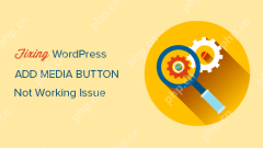 Comment résoudre le problème où l'ajout de boutons multimédias ne fonctionne pas dans WordPress