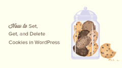 Comment définir, obtenir et supprimer les cookies WordPress (comme un professionnel)