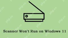 Scanner Won ' T Laufen unter Windows 11? Folgen Sie dem Leitfaden, um es zu beheben! - Minitool