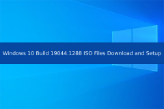 Windows 10构建19044.1288 ISO文件下载和设置-Minitool